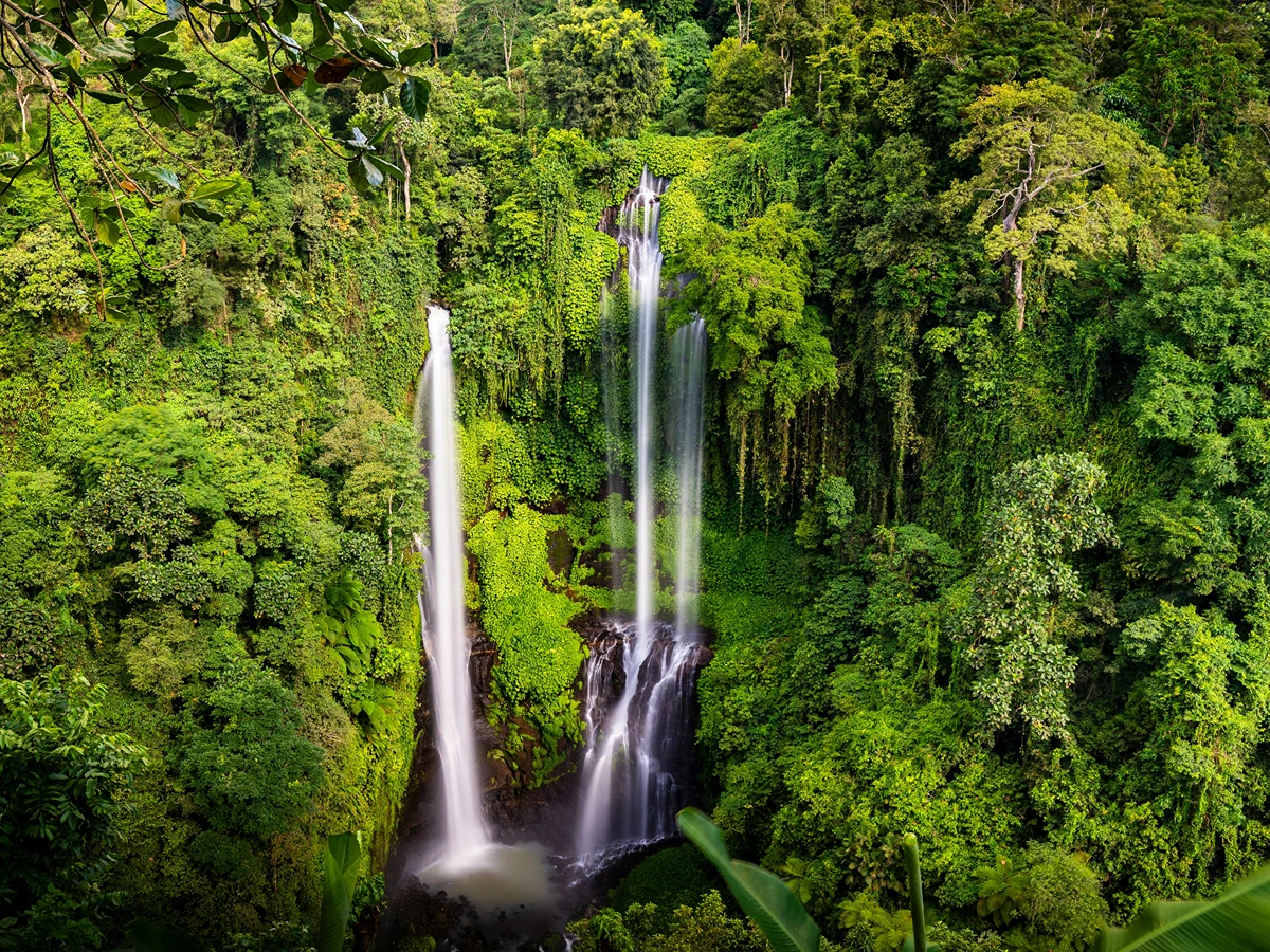Private Sekumpul Waterfall Tour in North Bali