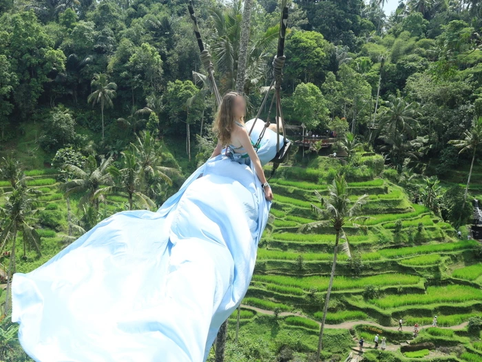 swing in rice terrace tegalalang