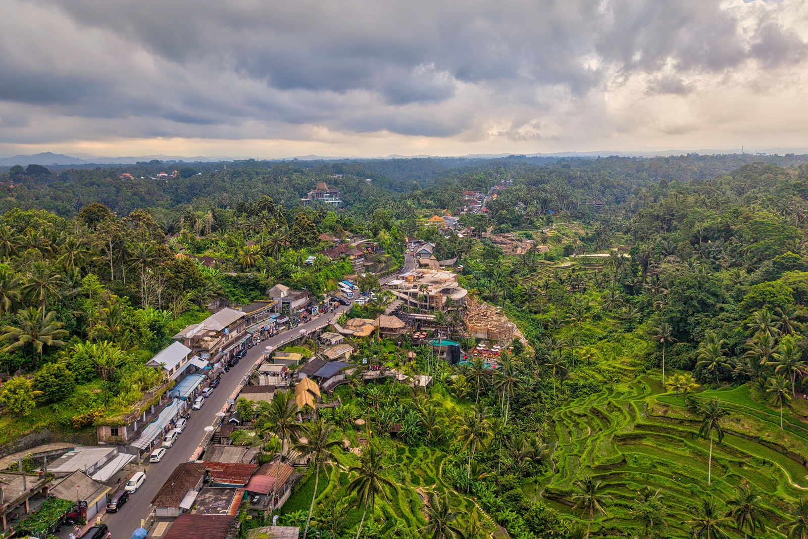 Private Driver in Ubud