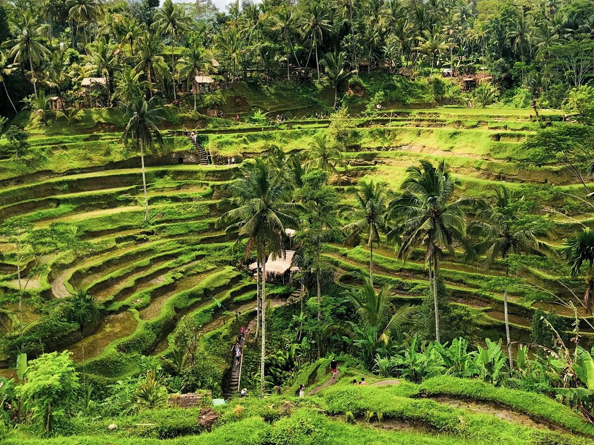 Best Trekking In Ubud