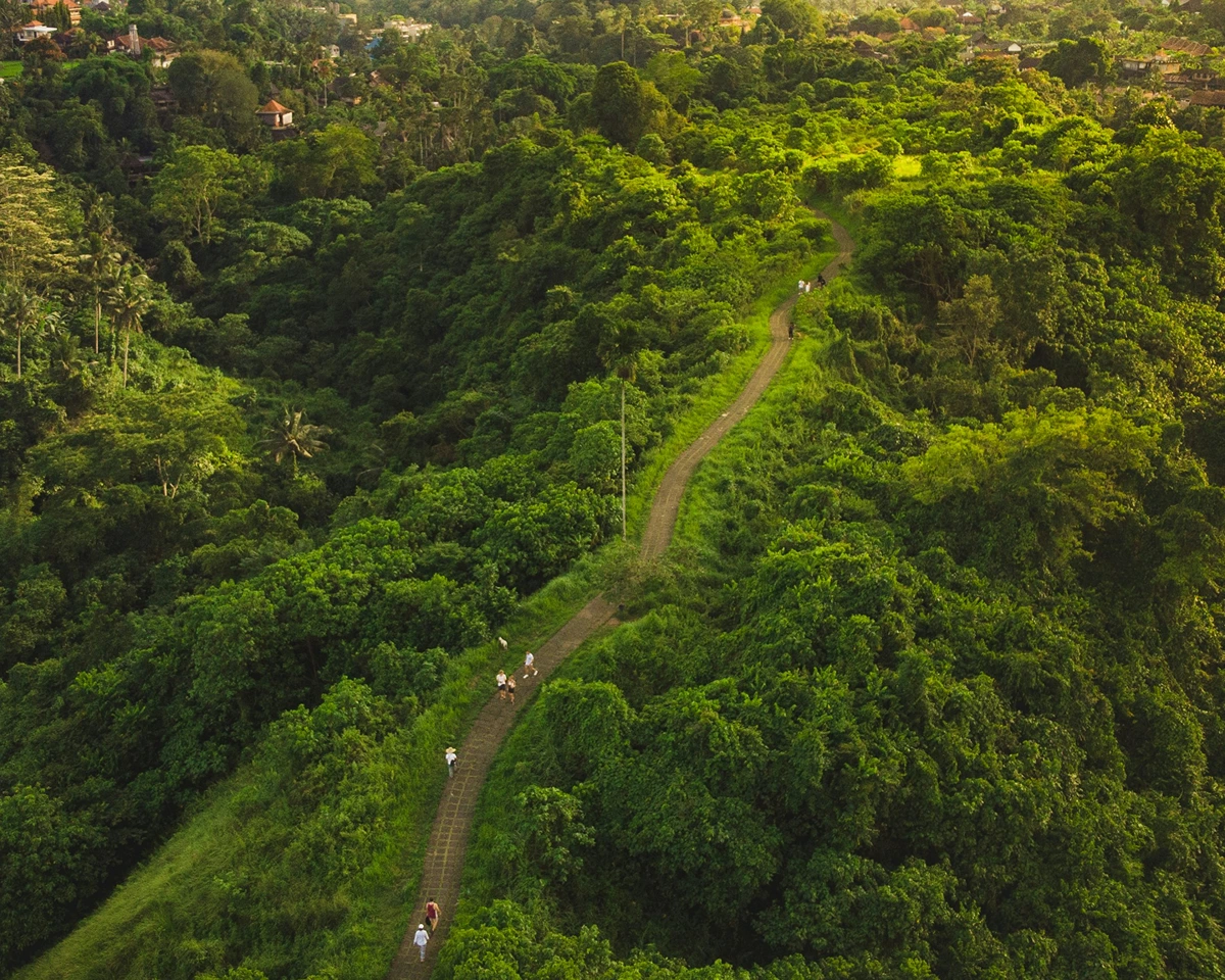 Campuhan Ridge Walk