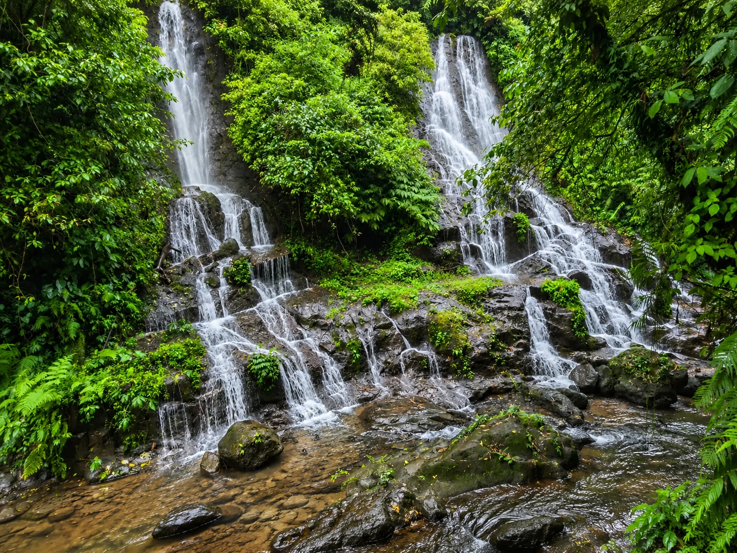 Goa Giri Campuhan Waterfall