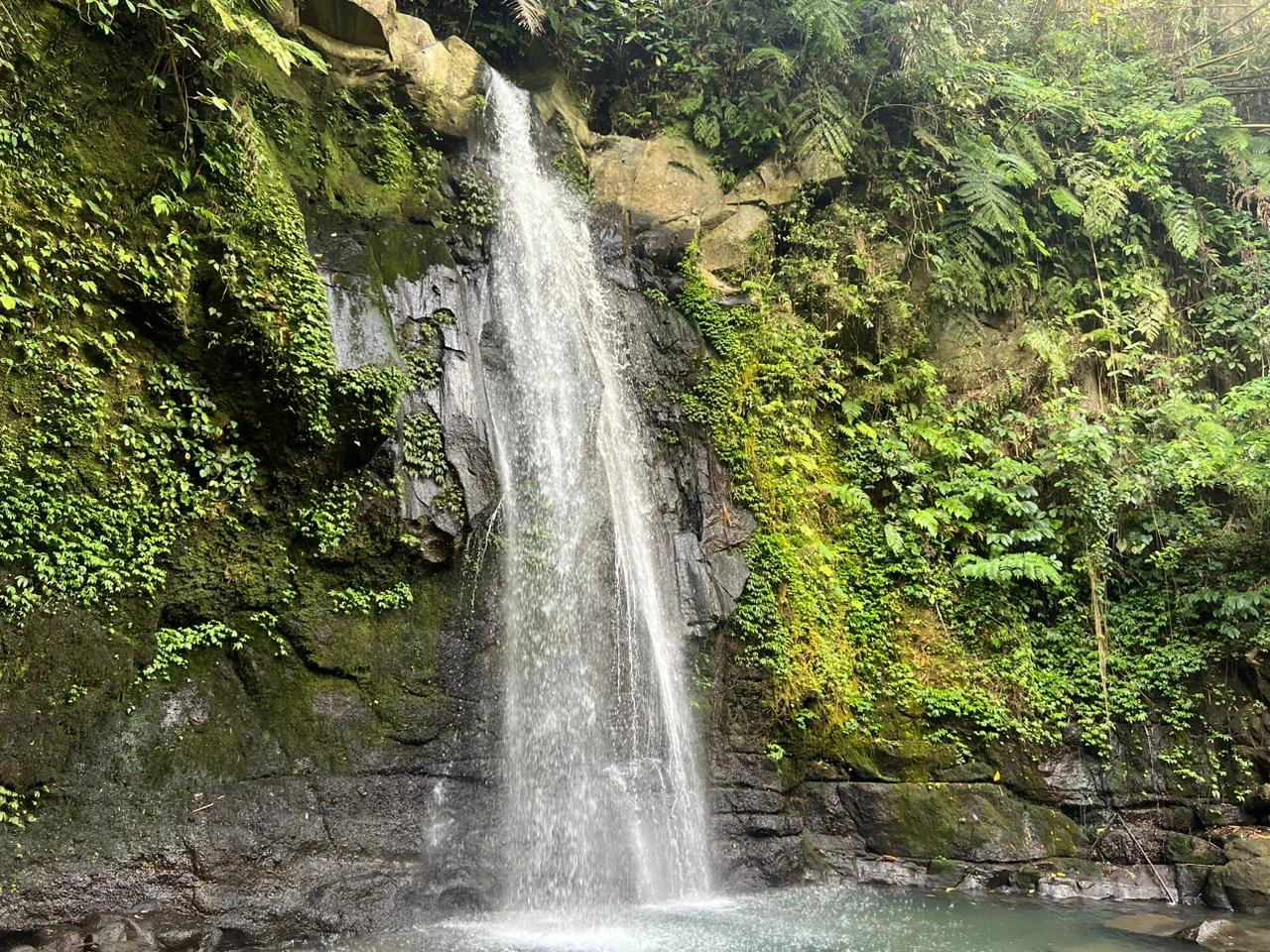 Ulu Petanu Waterfall in Ubud Bali