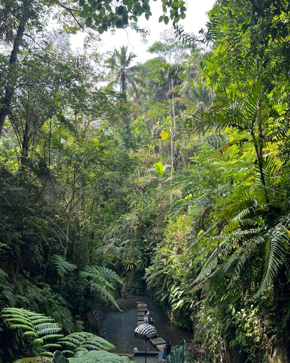 Jungle pathway to Ulu Petanu Waterfall