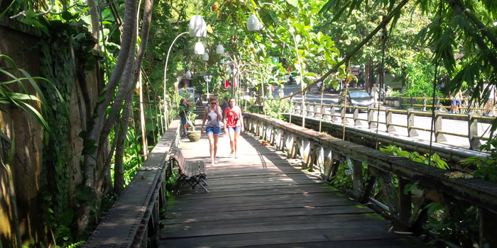Campuhan Bridge Ubud