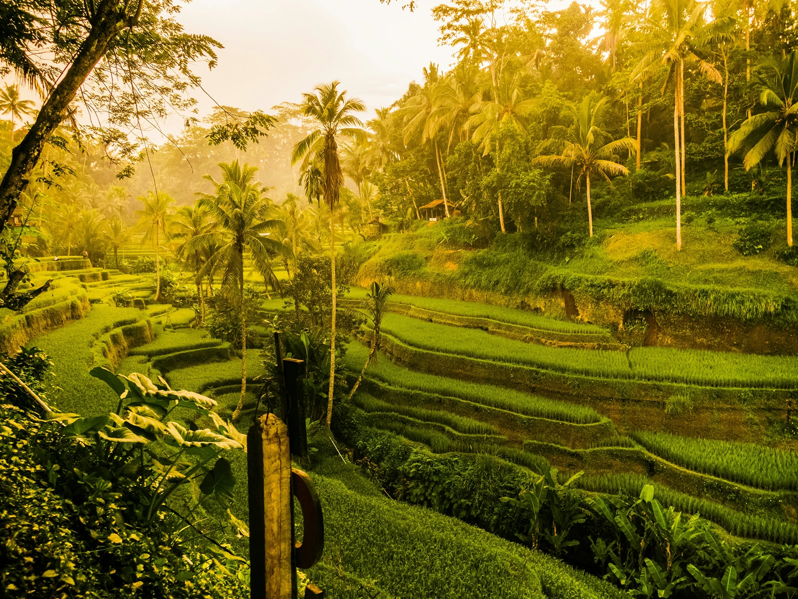 Explore Bali with Ubud Adventures