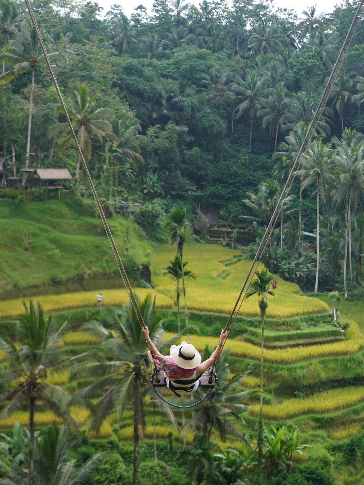 Bali Swing overlooking Tegalalang Rice Terrace in Ubud