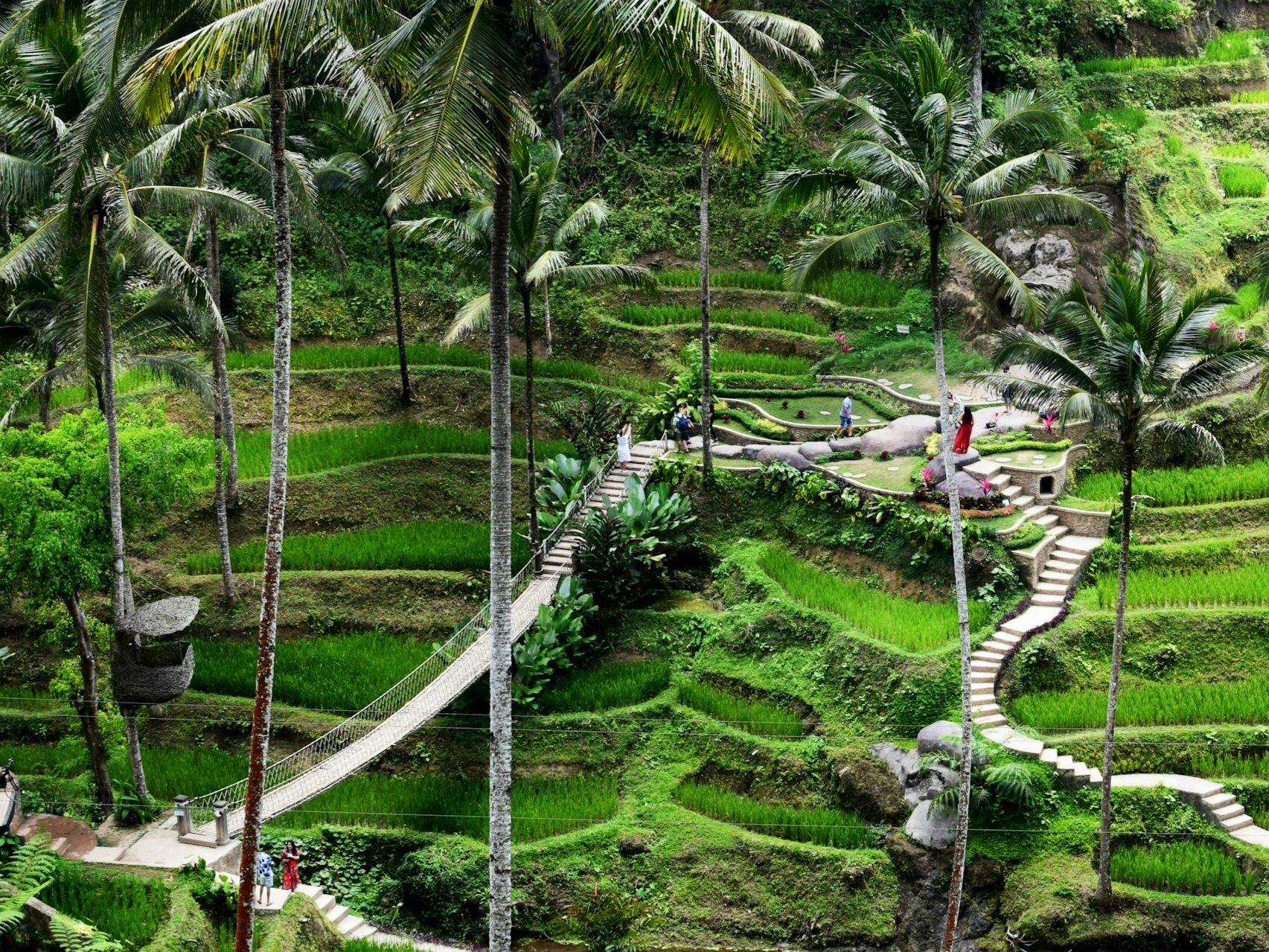 Discover Ubud In Every Season
