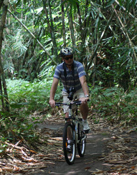 bamboo forest cycling